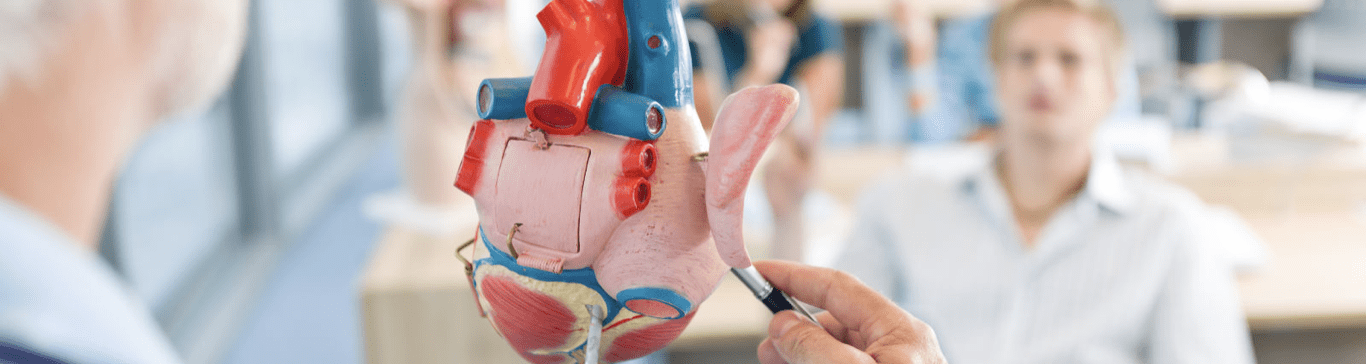 Hartprobleem: diagnose boezemfibrilleren