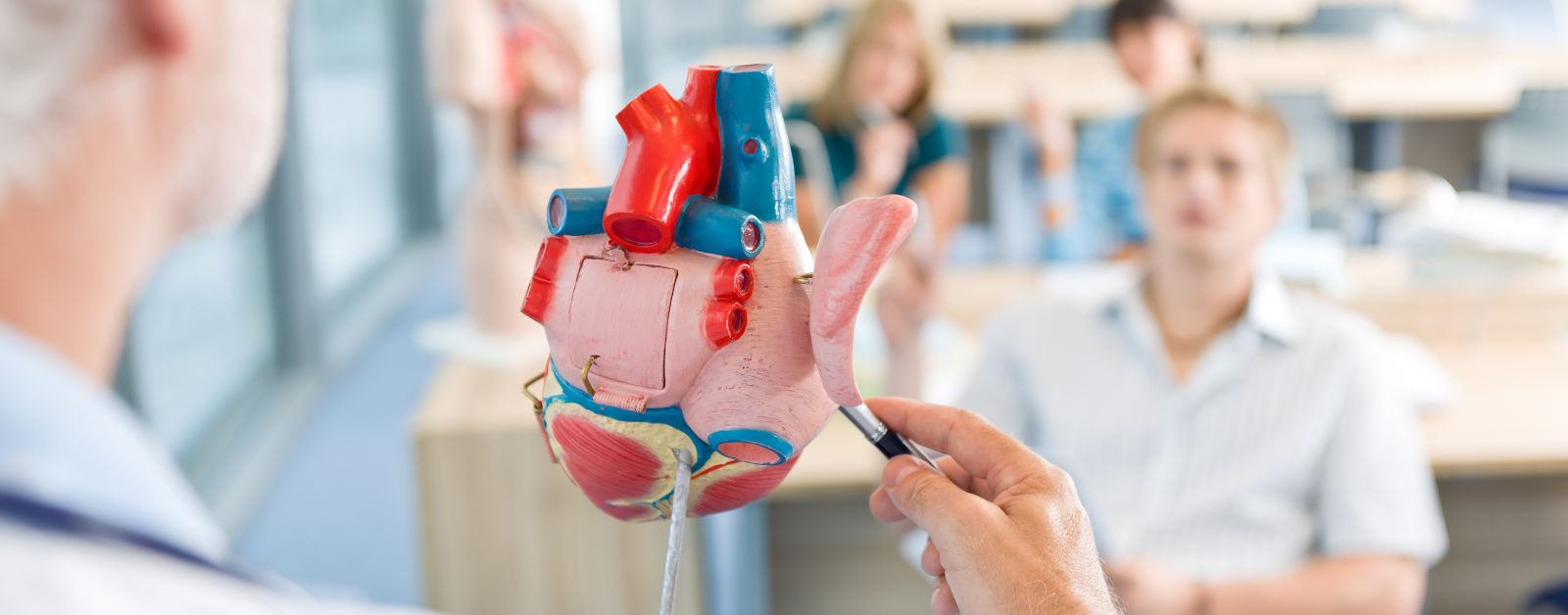 Hartprobleem: diagnose boezemfibrilleren